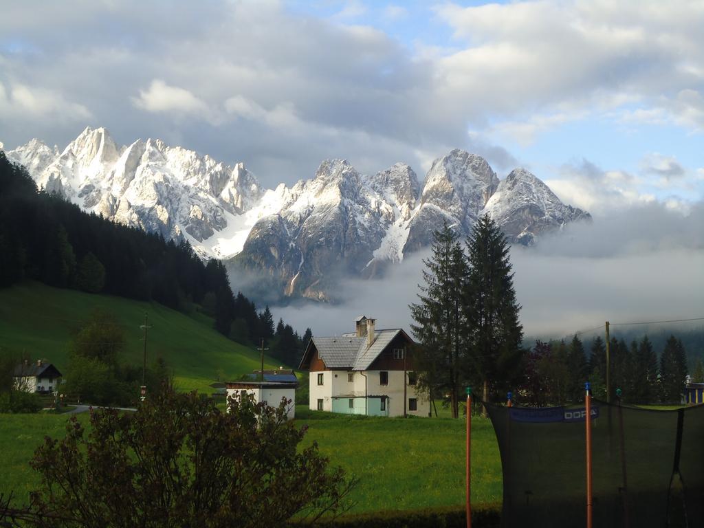 Haus Gruenwald Appartement Gosau Buitenkant foto
