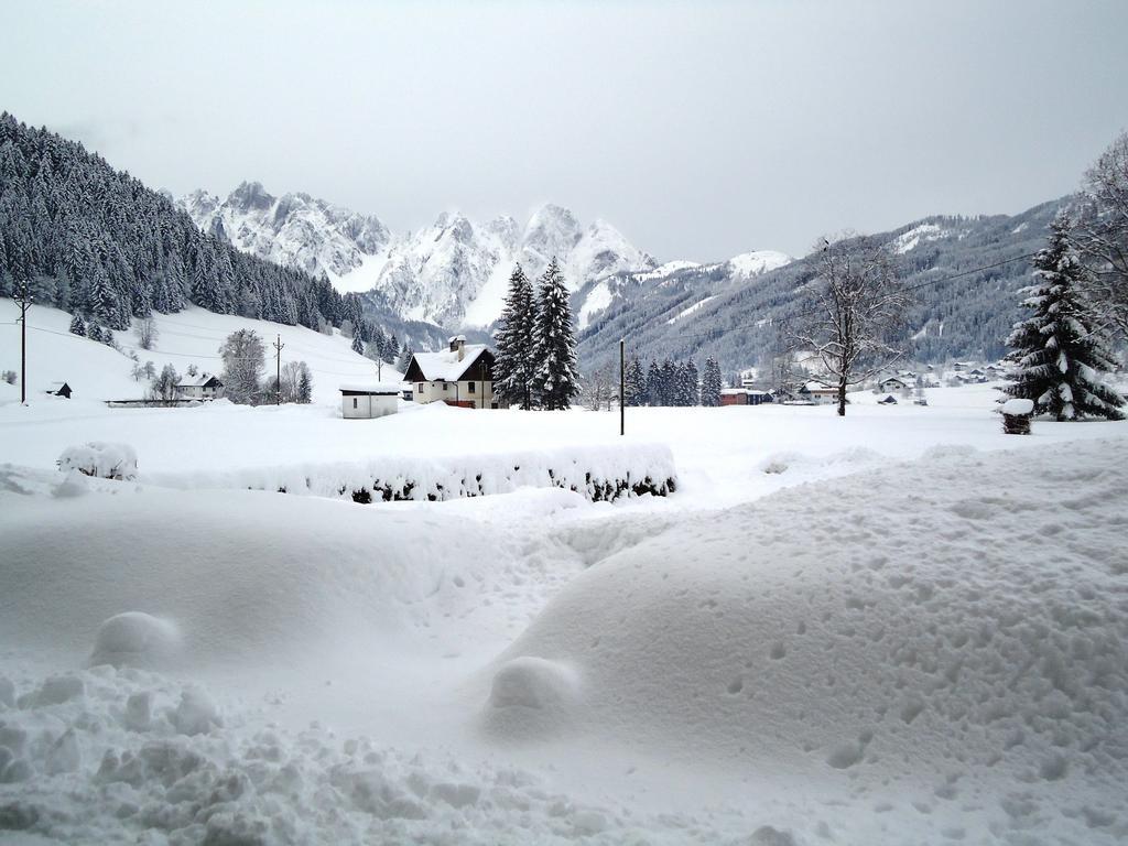 Haus Gruenwald Appartement Gosau Buitenkant foto
